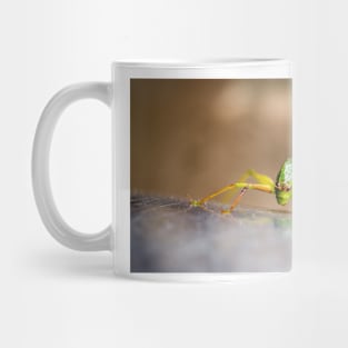 22218 katydids Mug